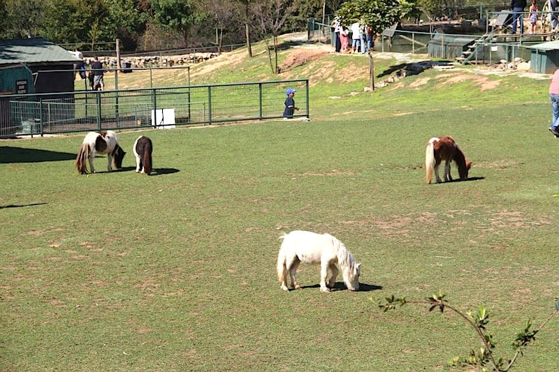 Polonezköy Country Club