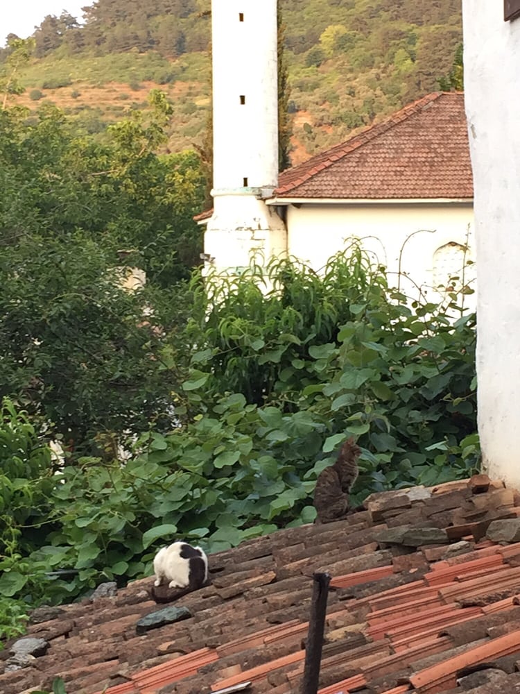 Kırkınca Houses Hotel